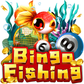 Câu Cá Bingo trên kl555